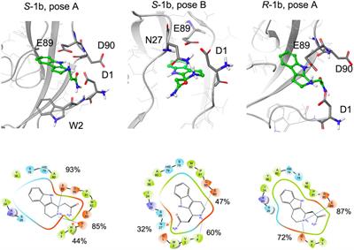 A combined fragment-based virtual screening and STD-NMR approach for the identification of E-cadherin ligands